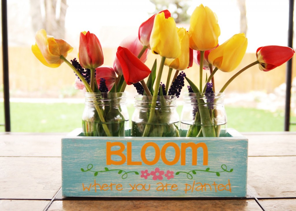 bloom planter