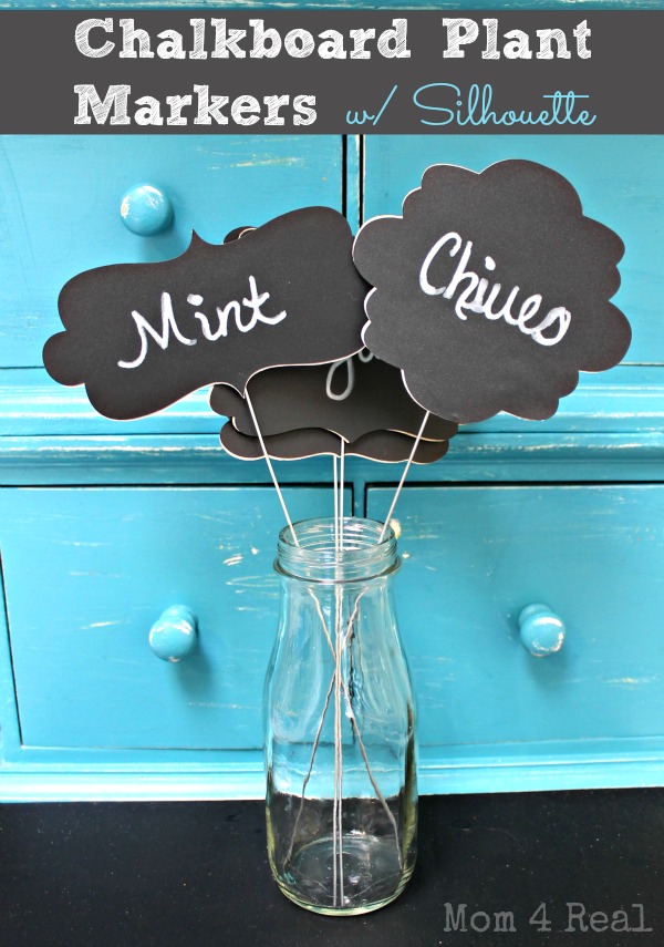 Paint a Mirror with Chalkboard Paint, Best Chalkboard Paint for Glass -  Joyfully Treasured