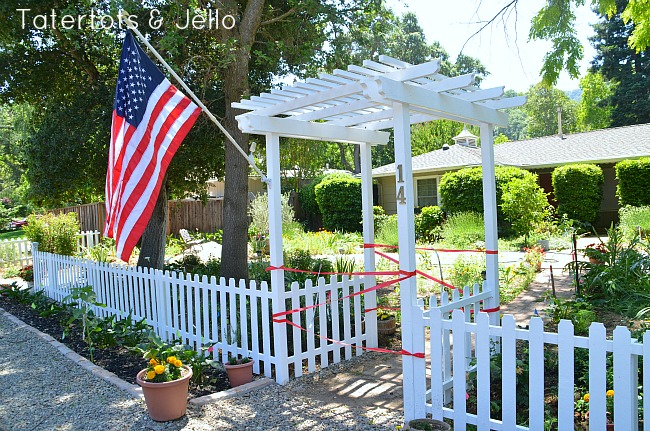 trellis fence