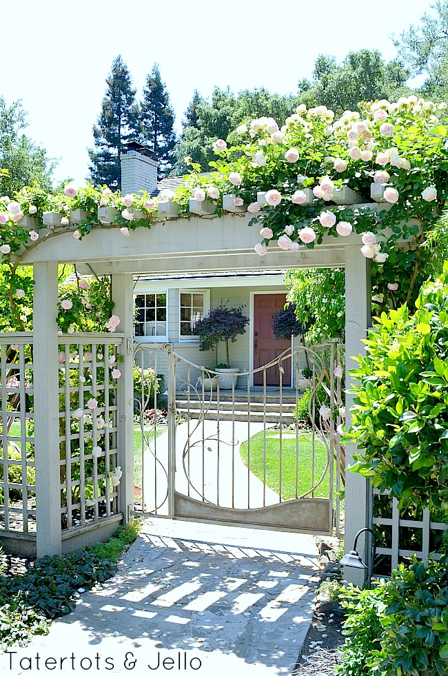 trellis front walkway and roses