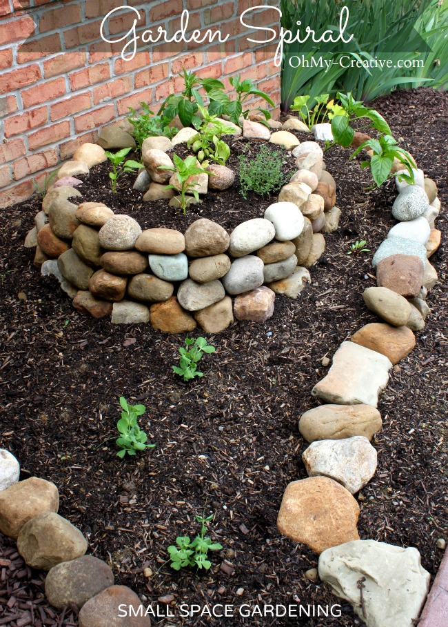 How-to-create-a-small-vegetable-garden-with-a-garden-spiral-OhMy-Creative.com_[1]