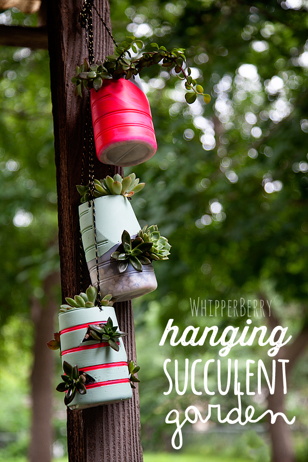 hanging-succulent-garden-with-International-Delights-whatsyourid[1]