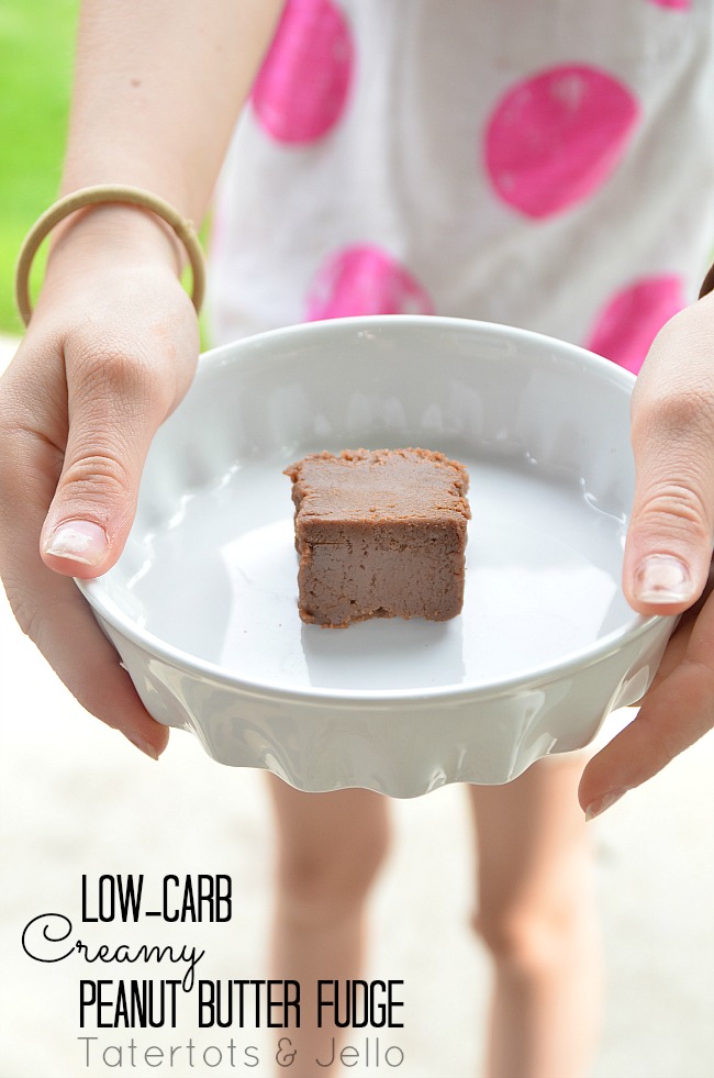 low carb fudge recipe