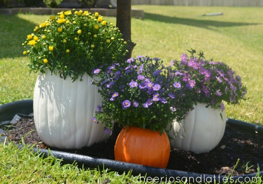 Fall-Pumpkin-Flower-Planters-2-520x364