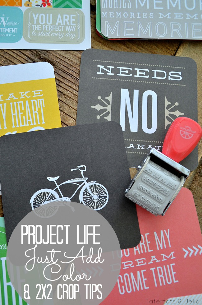 project life just add color kit