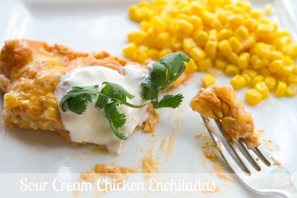 sour-cream-chicken-enchiladas3