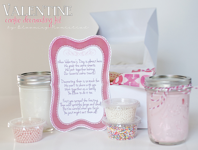 valentinecookiedecoratingkit