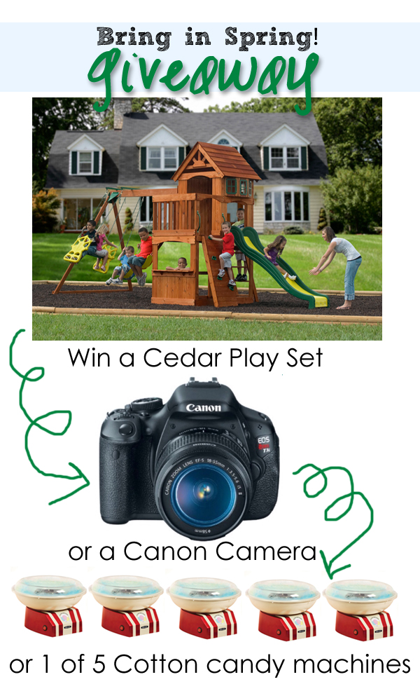Link Party Palooza — and Cedar Play Set or Camera Giveaway!