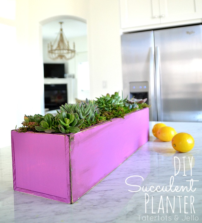 diy succulent planter orchid at tatertots and jello