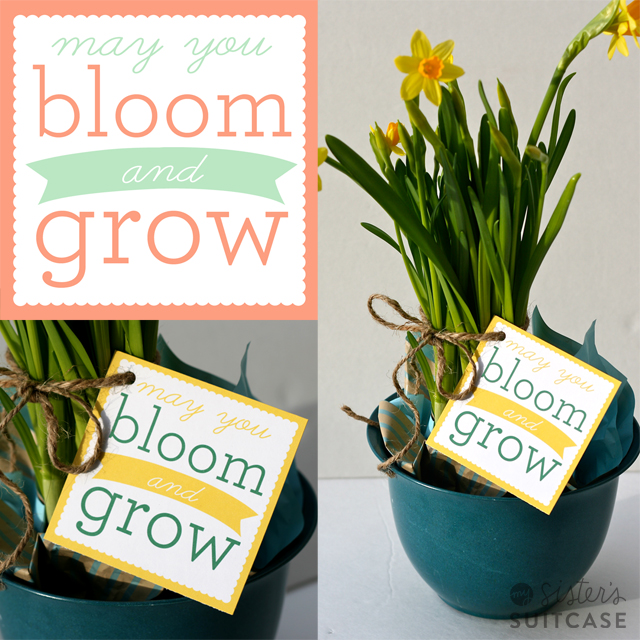 spring-bloom-grow-printable-tag