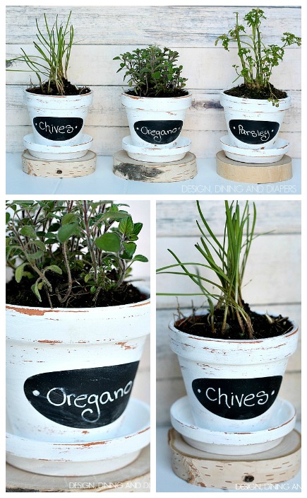 DIY-Herb-Pots-These-look-so-easy-and-are-not-only-cute-but-practical.-designdininganddiapers.com_
