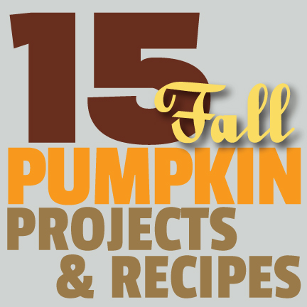 Great Ideas — 15 Autumn Pumpkin Projects & Recipes!