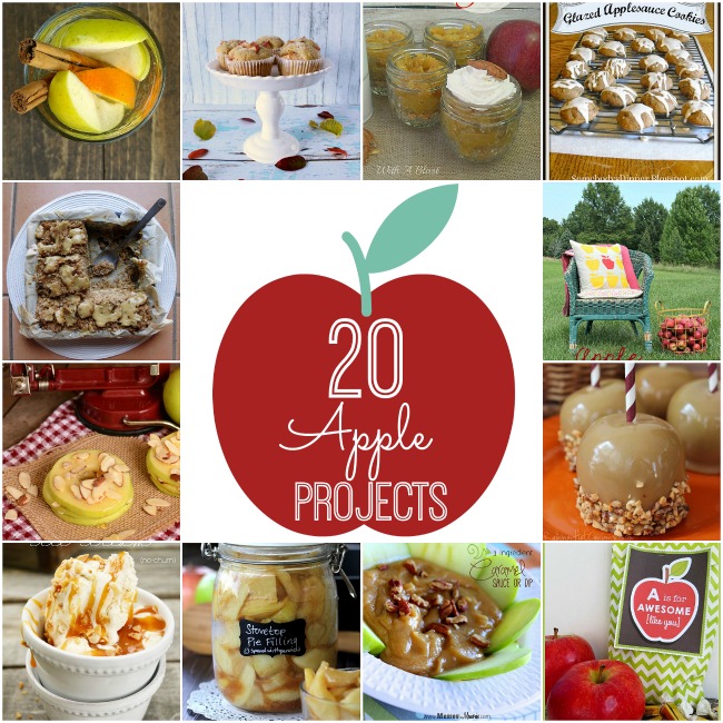 20 fall apple projects at tatertots and jello