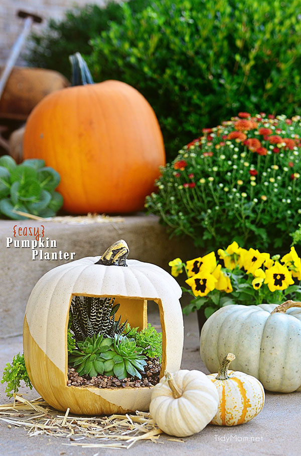 Easy Gold Faux Pumpkin planter tutorial at TidyMom.net