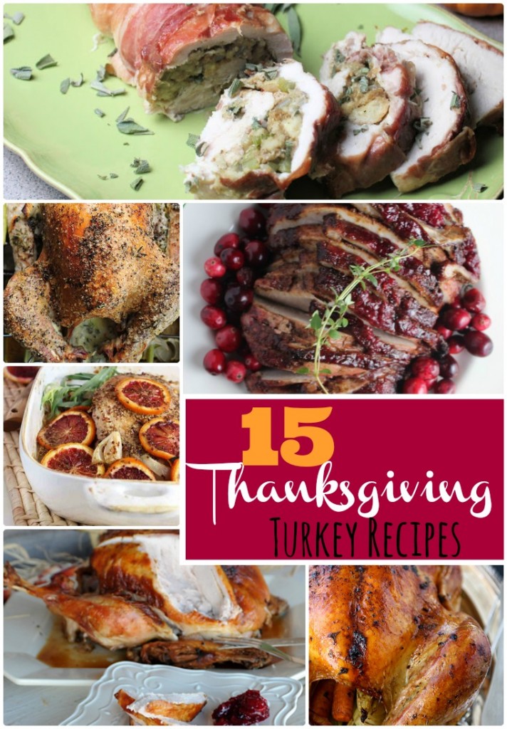 15 Thanksgiving Turkey Recipes to Try This Year!