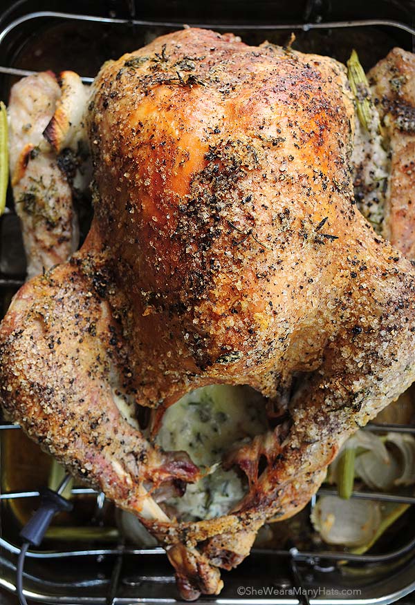 mayonnaise-roasted-turkey-a2-new