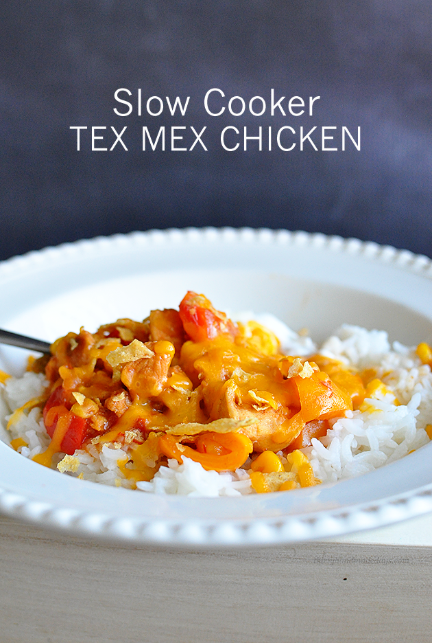 slowcookertexmexchicken