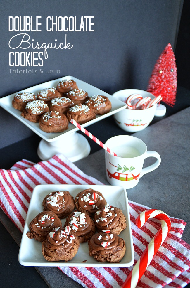 double chocolate bisquick cookie recipe at tatertots and jello
