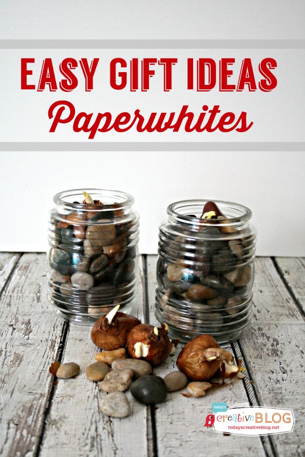 Easy-Gift-Ideas-Paperwhites