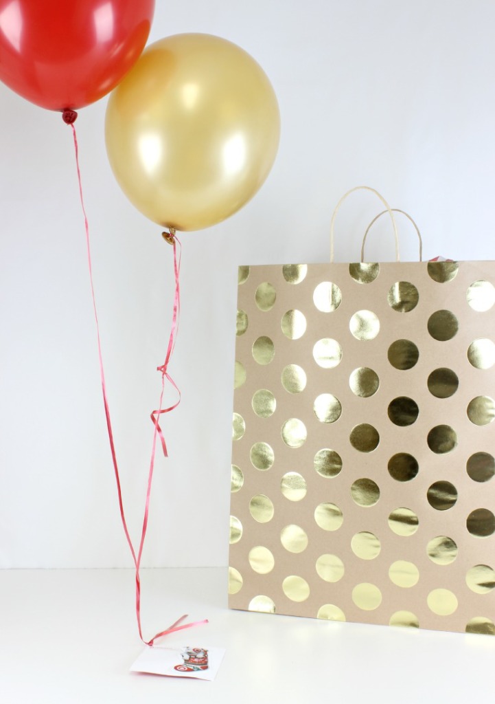 Place-balloons-in-bag-721x1024