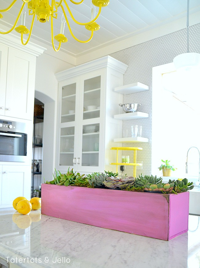 orchid-succulent-diy-planter-at-tatertots-and-jello[1]