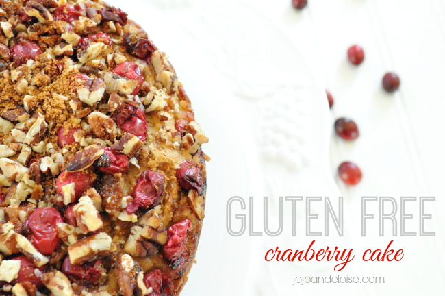 glutenfree-organic-cranberry-cake-recipe-jojoandeloise.com-1