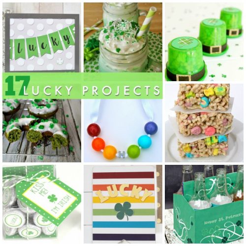 Great Ideas -- 17 Lucky Projects!