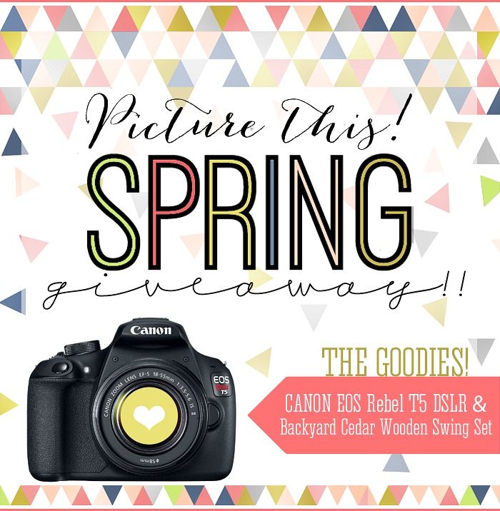 Win a DSLR Camera or Cedar Swing Set!