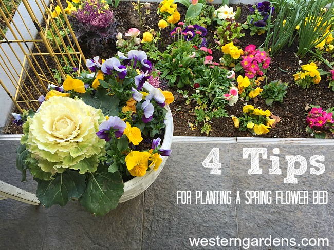 4 tips for planting a colorful spring flower bed 