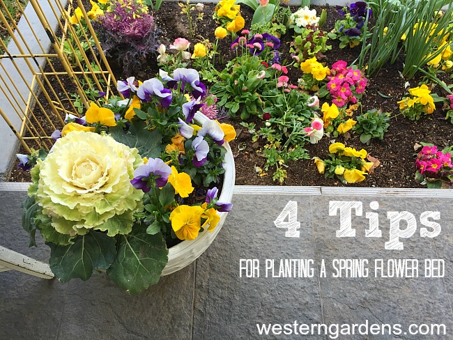 spring flower bed tips