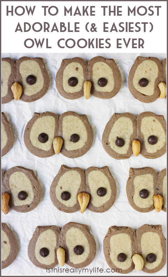 Owl-Cookies-graphic