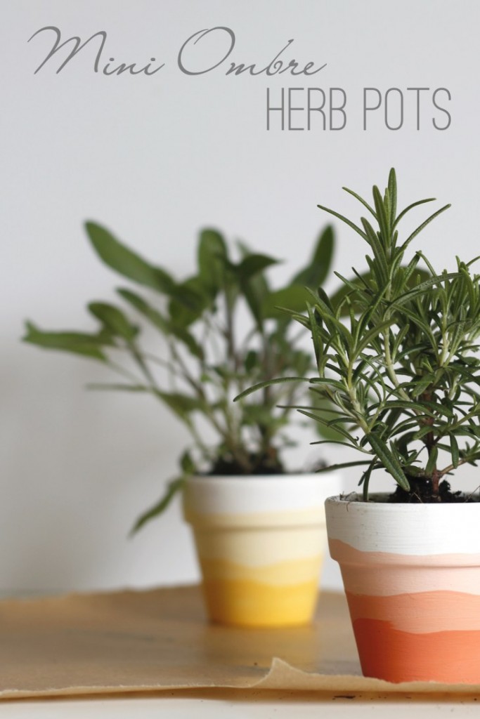 Mini-Ombre-Herb-Pots-pin