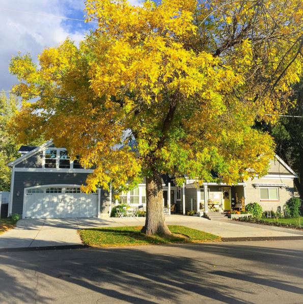 1905 cottage addition 