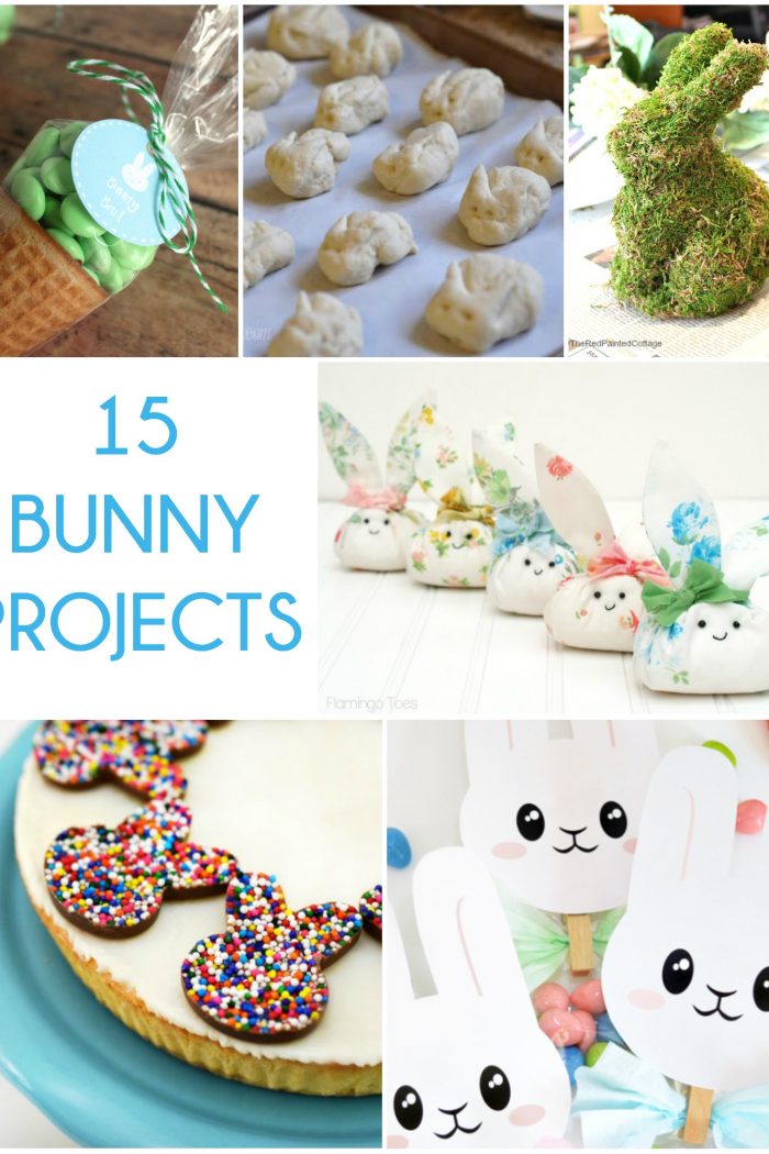 Great Ideas — 15 Bunny Projects!