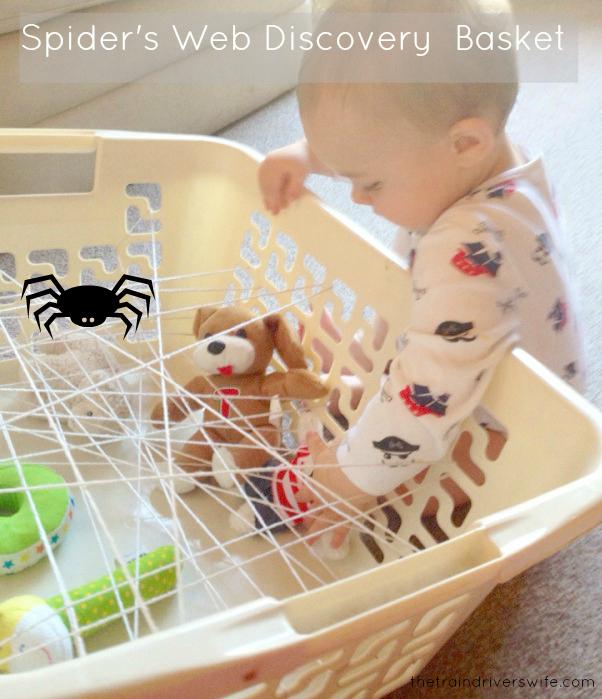 spiders-web-discovery-basket