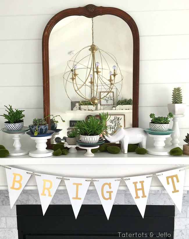 Spring bright succulent mantel 