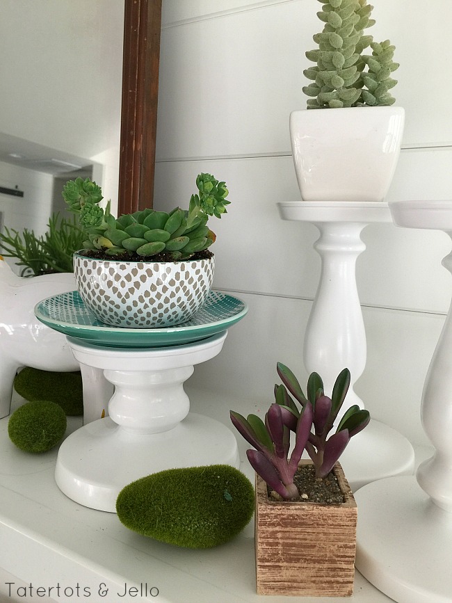 spring potted succulent mantel 
