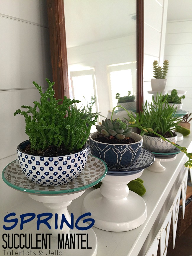 Spring Potted Succulent Mantel