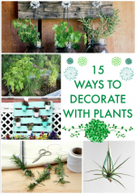 Great Ideas — 15 Ways to Decorate With Plants!