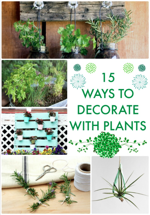 15 Ways to Decorate with Plants