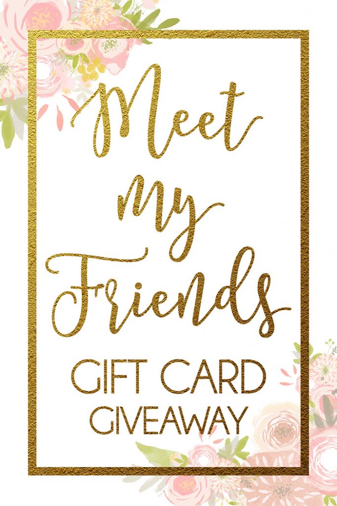 meet my friends giveaway