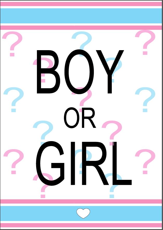 Gender REveal Party Printable 