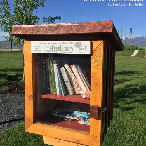 little free library information