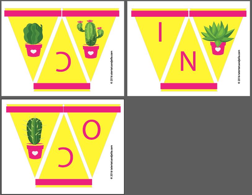 cinco de mayo party pennants