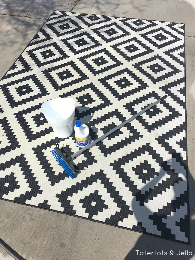 Cleaning a moldy outdoor rug 