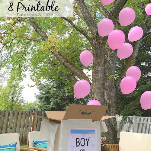 Gender Reveal Party Printable and DIY Idea