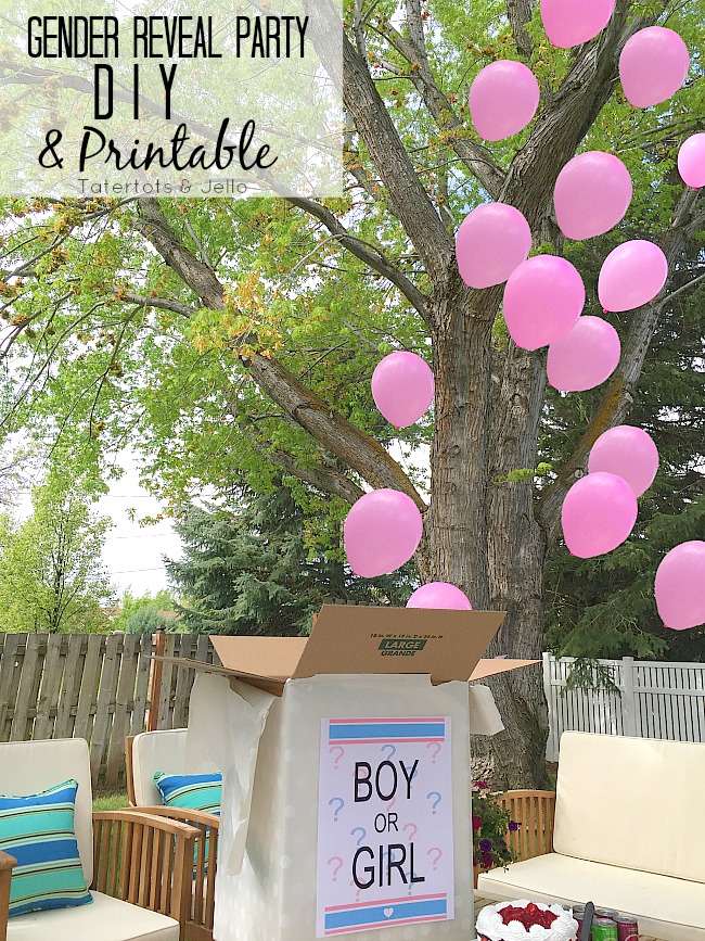 Gender Reveal Balloon Kit, Giant Gender Reveal Balloon, Gender