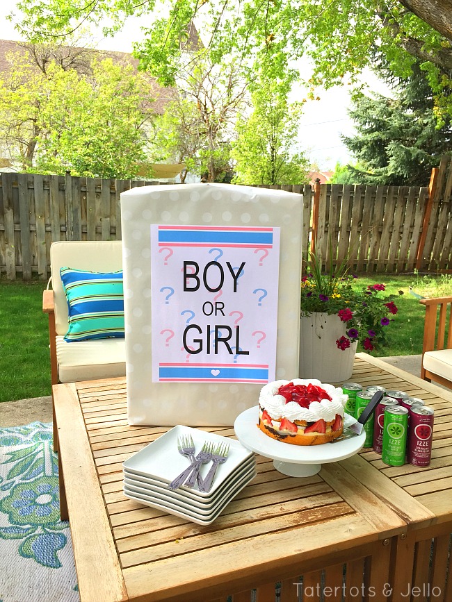gender reveal party printable and diy idea tatertots and jello
