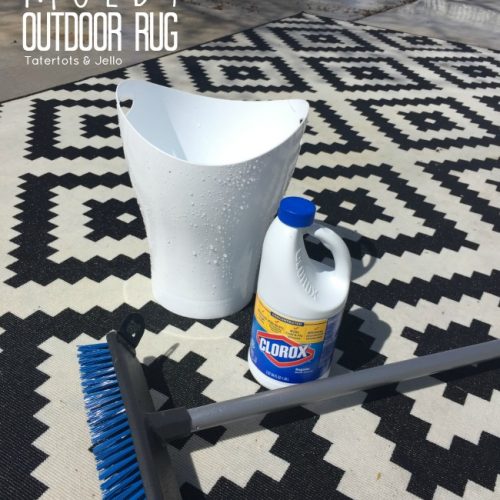 how to clean a moldy indoor outdoor rug