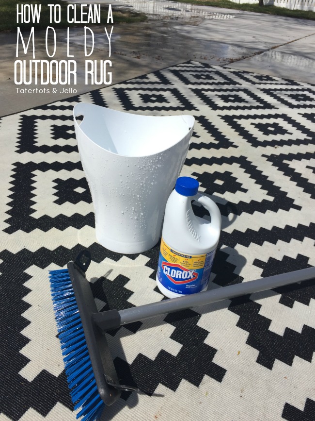 how to clean a moldy indoor outdoor rug 
